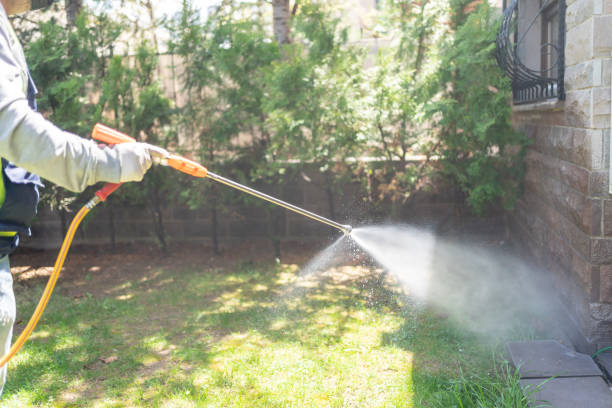 Best Pest Prevention Services  in Cinco Ranch, TX